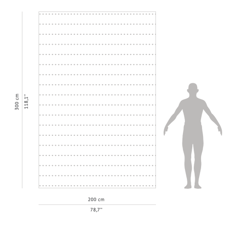 human-scale-koi
